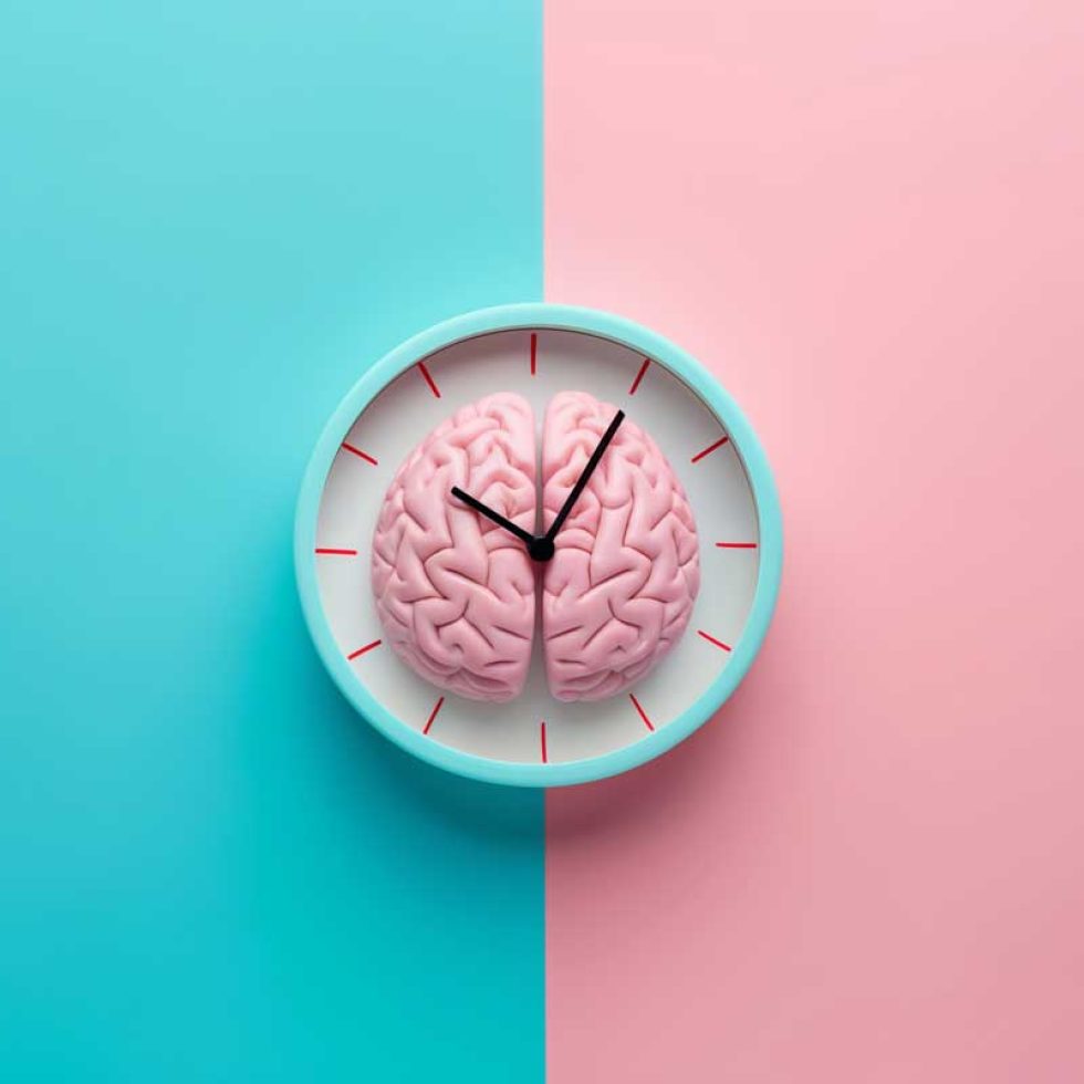 Sliepmatz_Chronobiologie_826108766